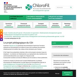 Le projet pédagogique du CDI - ChloroFil.fr