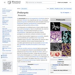 Prokaryota