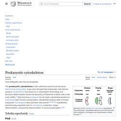 Prokaryotic cytoskeleton