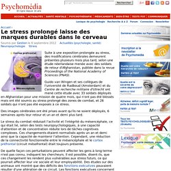 Le stress prolongé laisse des marques durables dans le cerveau