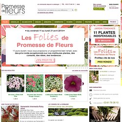 Promesse de fleurs, plantes pour le jardin, Boutique en ligne