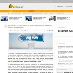 Pollution de l'air : Nicolas Hulot et Agnès Buzyn promettent des feuilles de route "opérationnelles" - 13/07/17