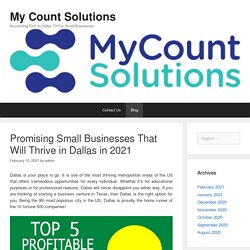 Promising Small Businesses That Will Thrive in Dallas in 2021 – My Count Solutions