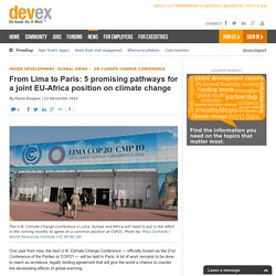 From Lima to Paris: 5 promising pathways for a joint EU-Africa position on climate change