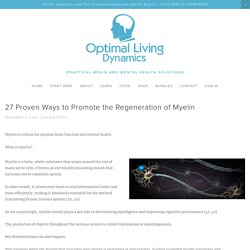 27 Proven Ways to Promote the Regeneration of Myelin — Optimal Living Dynamics