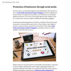 Promotion of businesses through social media — De Mellows Pte Ltd