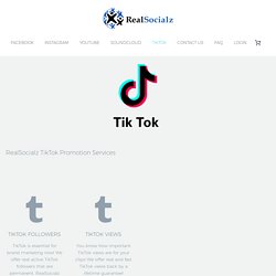 TikTok Promotion Services