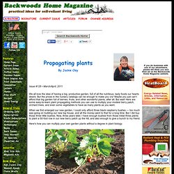 Propagating plants by Jackie Clay