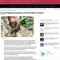 Cancer-fighting properties of horseradish revealed