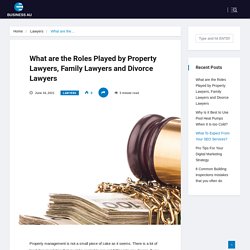 What are the Roles Played by Property Lawyers, Family Lawyers and Divorce Lawyers - busineesau