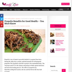 Propolis Benefits for Good Health - You Must Know