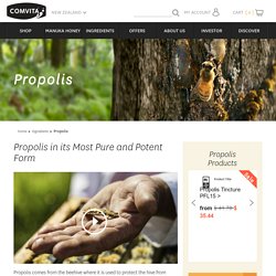 About Propolis Ingredients and Benefits