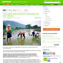 China drafts legal proposal to completely shut down GE rice | Greenpeace East Asia