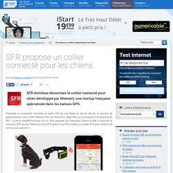 SFR propose un collier connecté pour les chiens