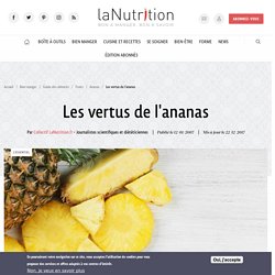 Ananas : bienfaits, vertus, santé et propriétés nutritives