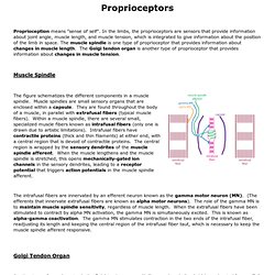Proprioceptors