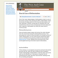 Pros & Cons of Deforestation