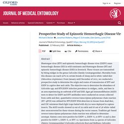 JOURNAL OF MEDICAL ENTOMOLOGY 21/02/20 Prospective Study of Epizootic Hemorrhagic Disease Virus and Bluetongue Virus Transmission in Captive Ruminants