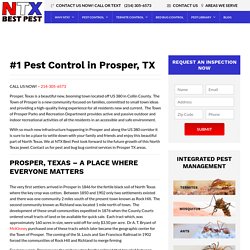 Find Top Pest Control Services In Prosper