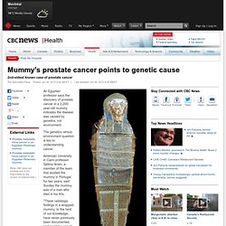 Mummy's prostate cancer points to genetic cause - Technology & Science