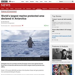 World's largest marine protected area declared in Antarctica