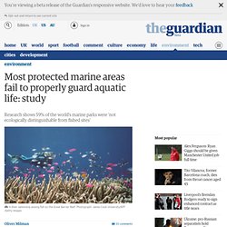 Most protected marine areas fail to properly guard aquatic life: study