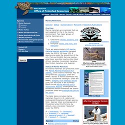 Marine Mammals - Office of Protected Resources - NOAA Fisheries