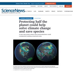 Protecting half of Earth may help solve climate change, save species