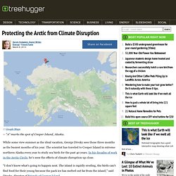 Protecting the Arctic from Climate Disruption