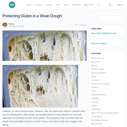 Protecting Gluten in a Weak Dough – The Baking Network