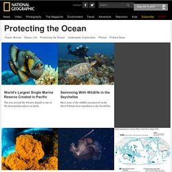 Protecting the Ocean