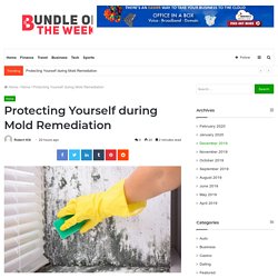 Protecting Yourself during Mold Remediation - My Blog
