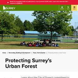 Protecting Surrey's Urban Forest