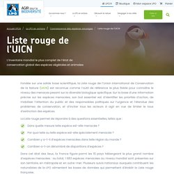 LPO (Ligue pour la Protection des Oiseaux) - Agir pour la biodiversité