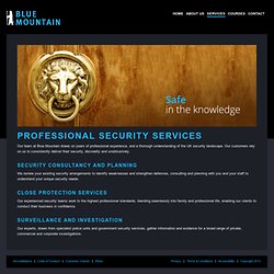 Blue Mountain Group - Security