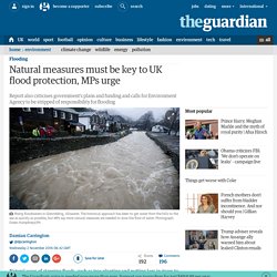 Natural measures must be key to UK flood protection, MPs urge