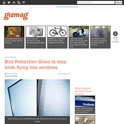 Bird-Protection Glass to stop birds flying into windows