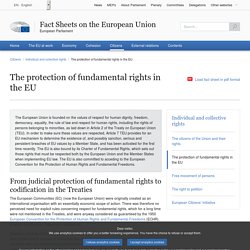 The protection of fundamental rights in the EU