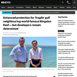 Enhanced protection for 'fragile' gulf neighbouring world-famous Ningaloo Reef — but developers remain determined
