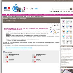 Protection juridique des outils numériques - [Site Economie-Gestion Académie de Lyon]