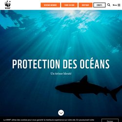 Protection des océans – Un trésor bleuté