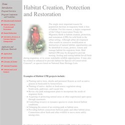 Habitat Creation, Protection and Restoration