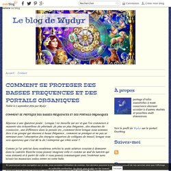 COMMENT SE PROTEGER DES BASSES FREQUENCES ET DES PORTAILS ORGANIQUES - Le blog de Wydyr