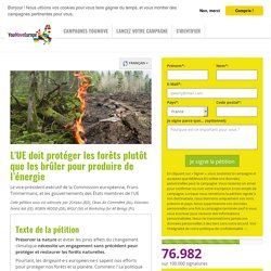 L'UE doit protéger les forêts plutôt que les brûler pour produire de l’énergie