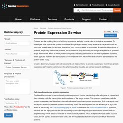 Protein Expression Service
