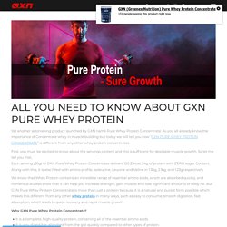 All You Need to Know About GXN Pure Whey Protein - Greenex Nutrition