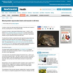 Blood protein rejuvenates brain and muscle in old mice - health - 04 May 2014