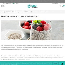 Protein-Rich CBD Chia Pudding Recipe