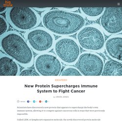 New Protein Supercharges Immune System to Fight Cancer