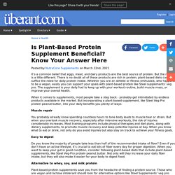 Is Plant-Based Protein Supplement Beneficial? Know Your Answer Here